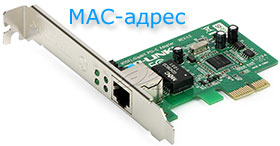 network card