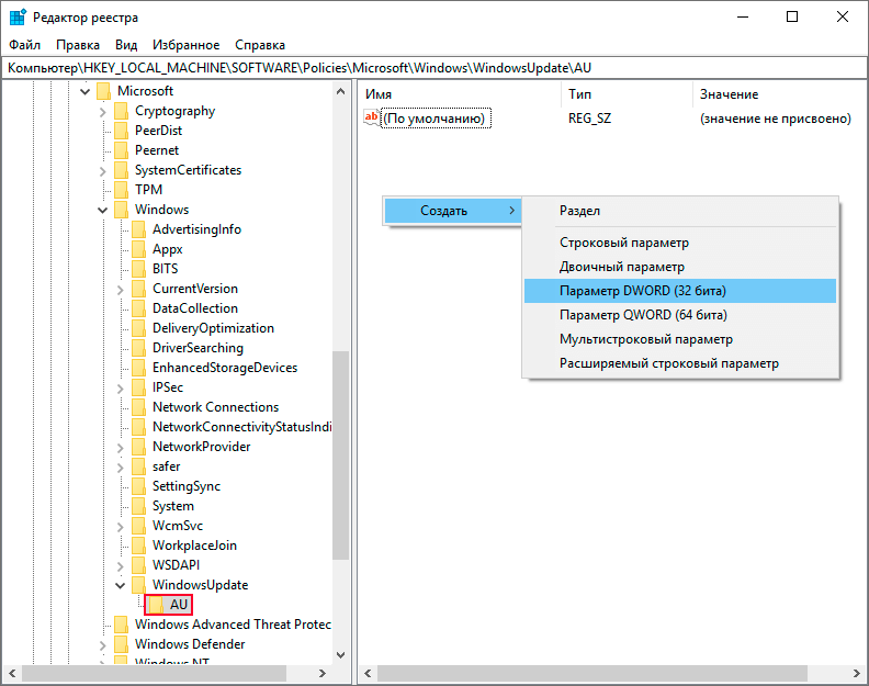 Создание параметра NoAutoUpdate registry parameter dword
