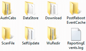 папка SoftwareDistribution